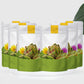 Norvielle CH
